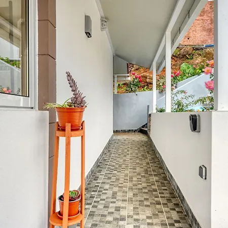 Atlantic View, A In Madeira