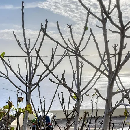 Atlantic View, A In Madeira * Ponta do Sol (Madeira)