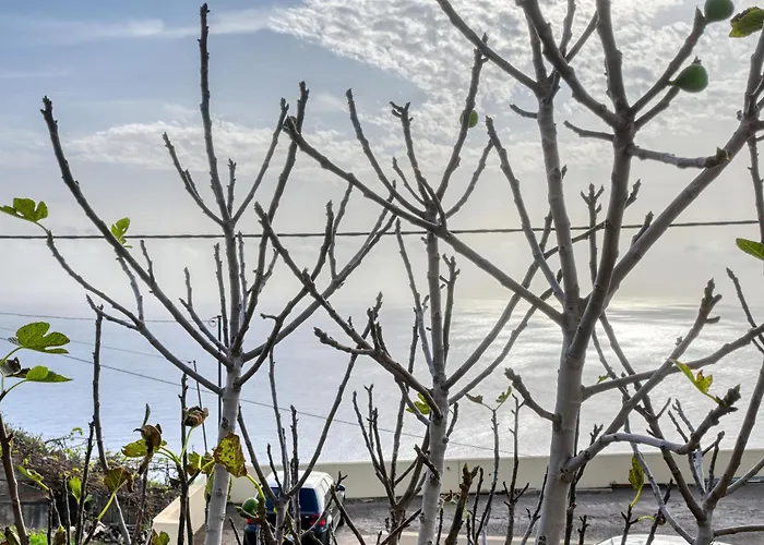 Atlantic View, A In Madeira * Ponta do Sol (Madeira)